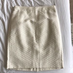 J. Crew Skirt